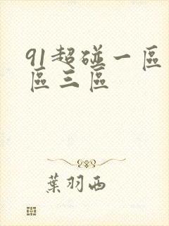 91超碰一区二区三区