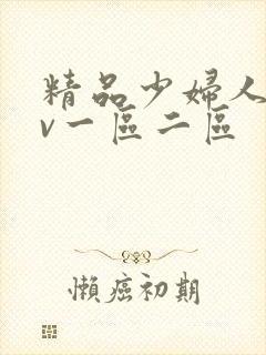 精品少妇人妻av一区二区封面