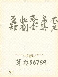 至此飞鸟不相逢短剧全集免费观看封面