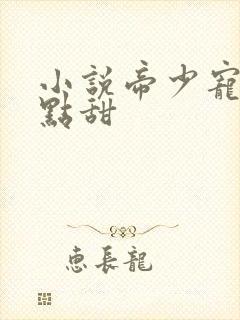 小说帝少宠妻有点甜