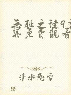 无耻之徒9季全集免费观看封面