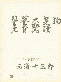 饕餮不是狗小说免费阅读