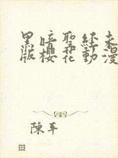 黑暗圣经未删减版樱花动漫的背景封面