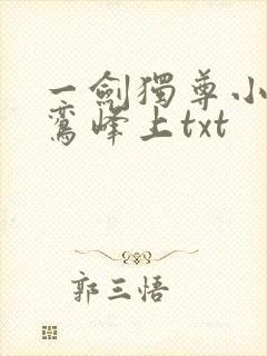 一剑独尊小说青鸾峰上txt