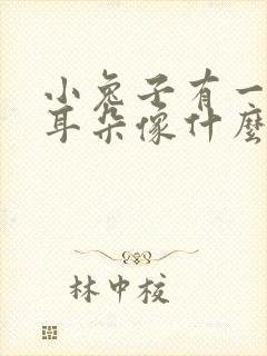 小兔子有一对长耳朵像什么似的竖在头上