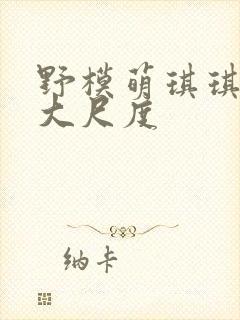 野模萌琪琪裸体大尺度