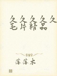 久久久久久久久毛片精品