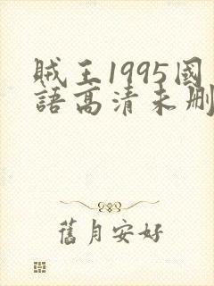 贼王1995国语高清未删减版137分钟