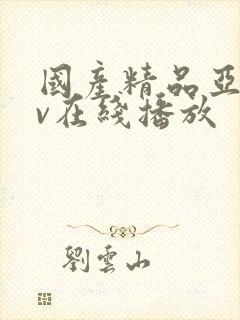 国产精品亚洲av在线播放封面