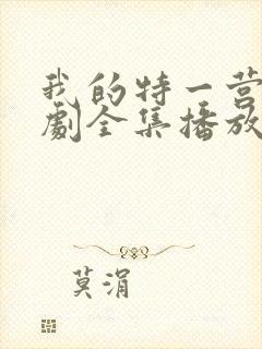 我的特一营电视剧全集播放