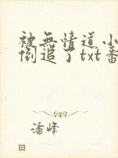 被无情道小师弟倒追了txt番外封面