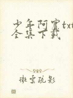 少年阿宾txt全集下载