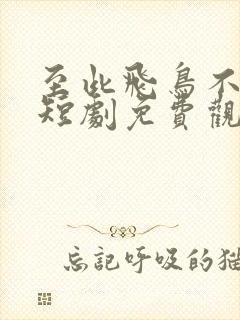 至此飞鸟不相逢短剧免费观看