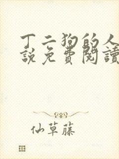 丁二狗的人生小说免费阅读全文