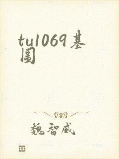 tu1069基图