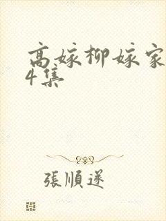 高嫁柳嫁家1至4集