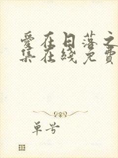 爱在日落之前全集在线免费观看