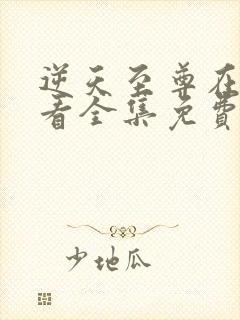 逆天至尊在线观看全集免费播放玄天