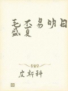 毛不易明日之子盛夏