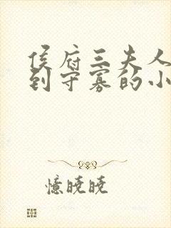 侯府三夫人重生到守寡的小说