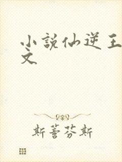小说仙逆王林全文封面