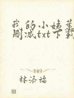 我的小姨叶凡无删减txt下载