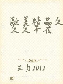 欧美精品久久久久久午夜