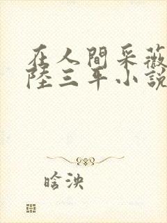 在人间采薇阿铭陆三平小说