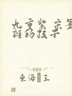 九重紫 宋墨是谁的孩子封面