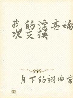 我的漂亮娇妻初次交换