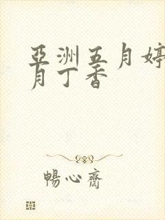 亚洲五月婷婷六月丁香封面