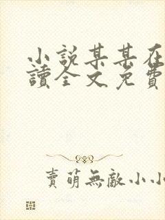 小说某某在线阅读全文免费