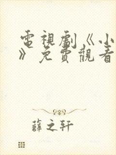 电视剧《小敏家》免费观看