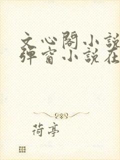 文心阁小说_无弹窗小说在线免费阅读