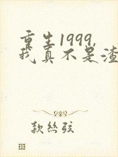 重生1999,我真不是渣男啊