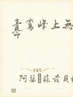 青鸾峰上无敌天命