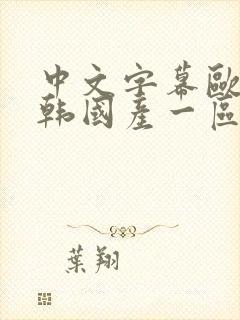 中文字幕欧美日韩国产一区二区三区在线观看