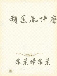 赵匡胤什么关系