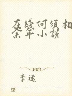 在线何须相思煮余年小说