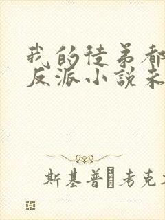 我的徒弟都是大反派小说未删减版