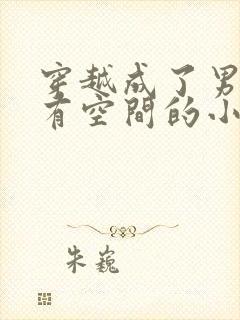 穿越成了男知青有空间的小说