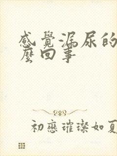 感觉漏尿的是怎么回事