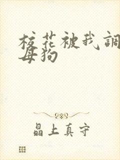 校花被我调教成母狗