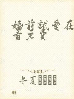 婚前试爱在线观看免费