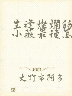 生逢灿烂的日子小薇最后怎么样了