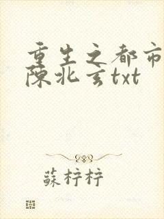 重生之都市仙尊陈北玄txt