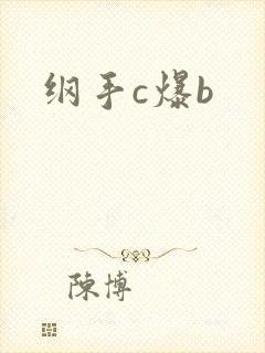 纲手c爆b封面