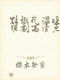 点燃我温暖你电视剧高清免费