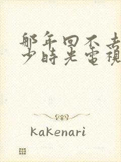 那年回不去的年少时光电视剧免费观看