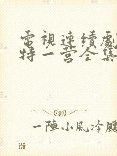 电视连续剧我的特一营全集完整版